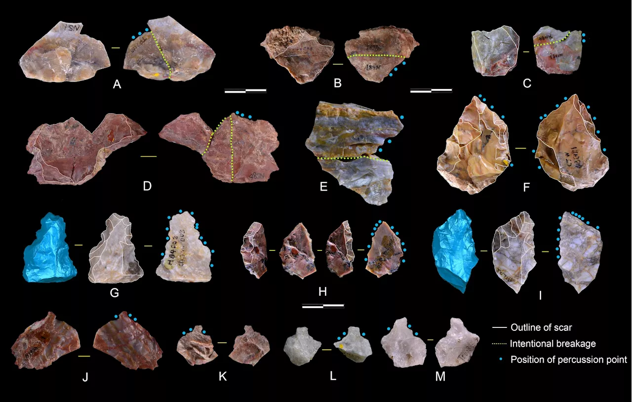 Redefining Human History: Scientists Uncover Advanced 1.1 Million-Year-Old Tools in China