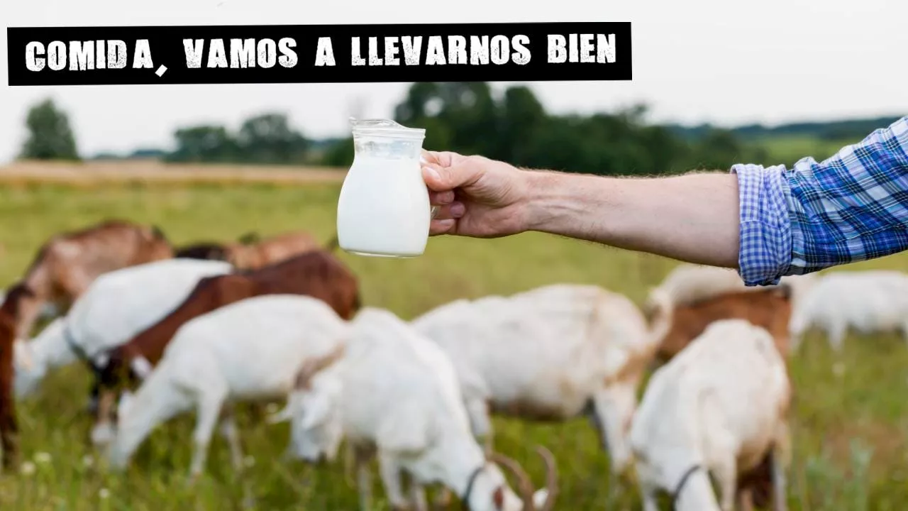 Las diferencias nutricionales entre la leche ecológica y la leche convencional; por Pablo Ojeda