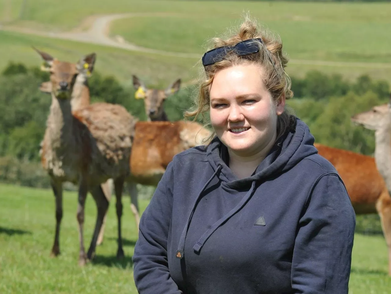 Fears that Welsh farming proposals offer ‘very little’ for the next generation of farmers