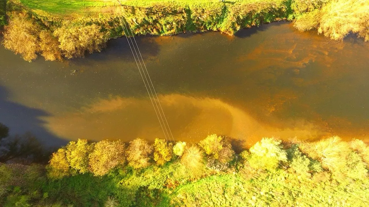 Environment watchdog chair tells farmers to 'do better' on river pollution