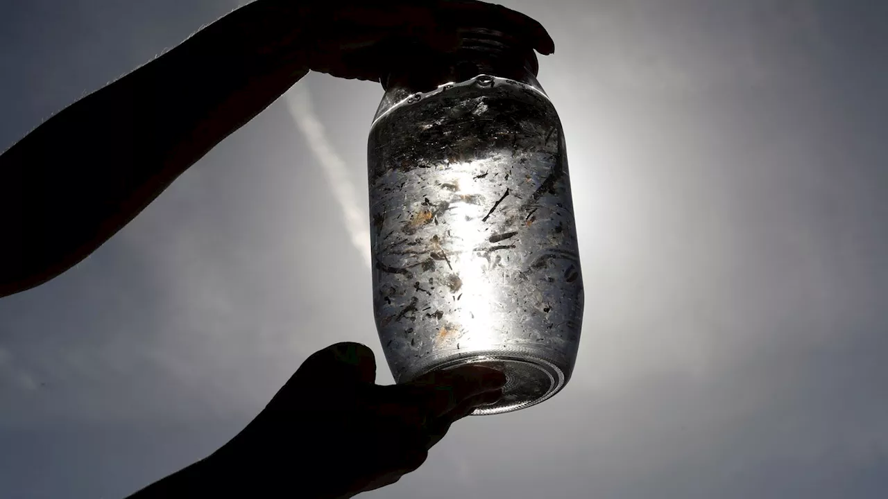 Microplastics in blood linked with stroke, heart attack and early death, study finds