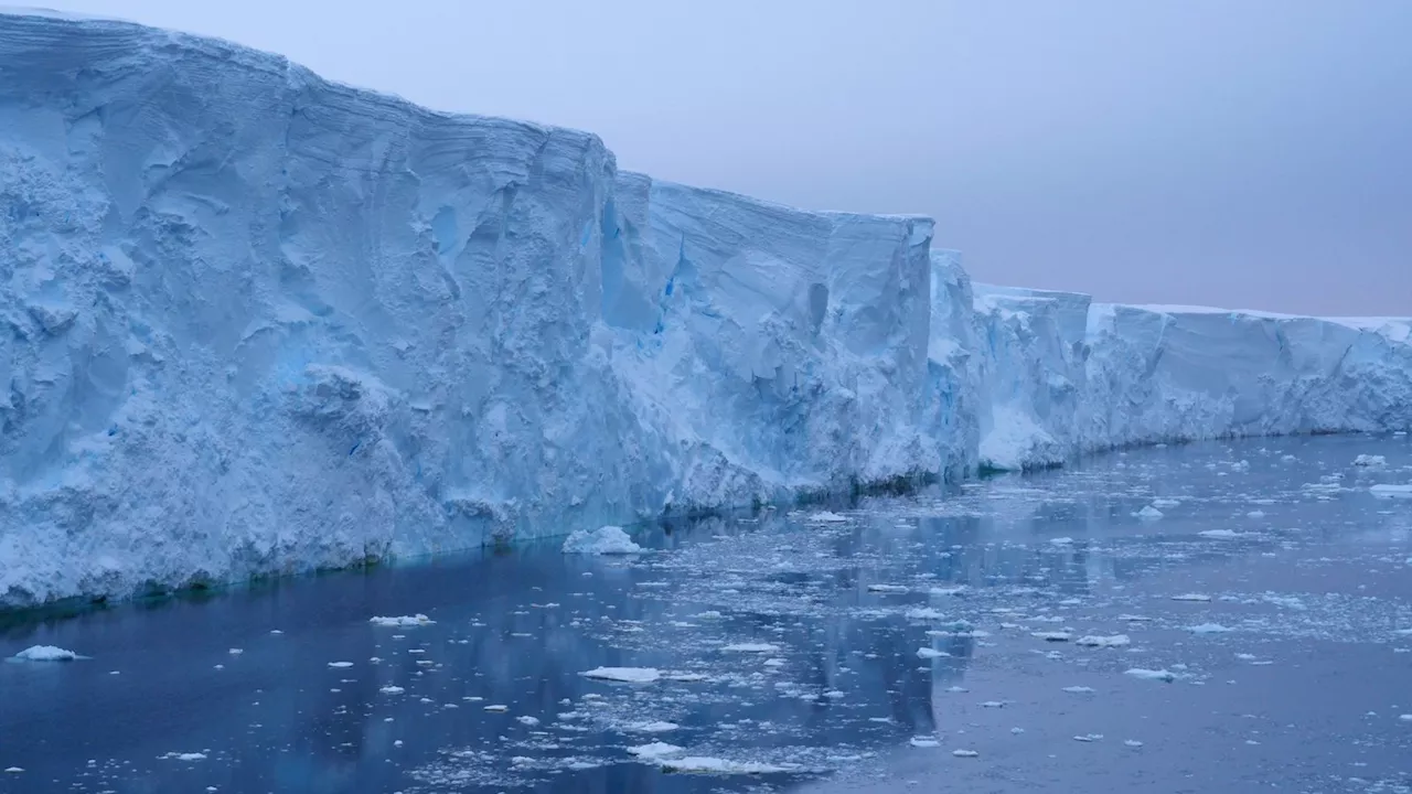 Radical idea to protect 'doomsday' Thwaites Glacier with 62-mile long curtain divides scientists