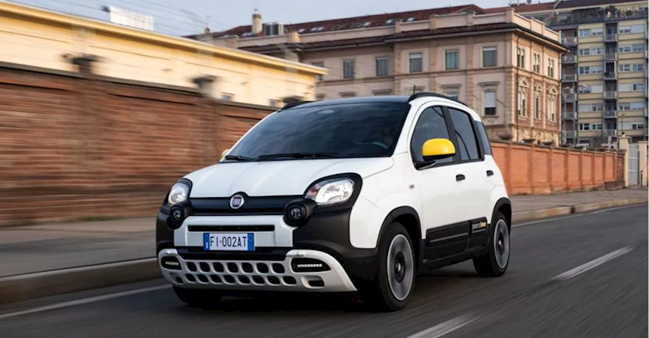 Panda, Pandina & Co, Citycar: grandi numeri ma pochi modelli prodotti