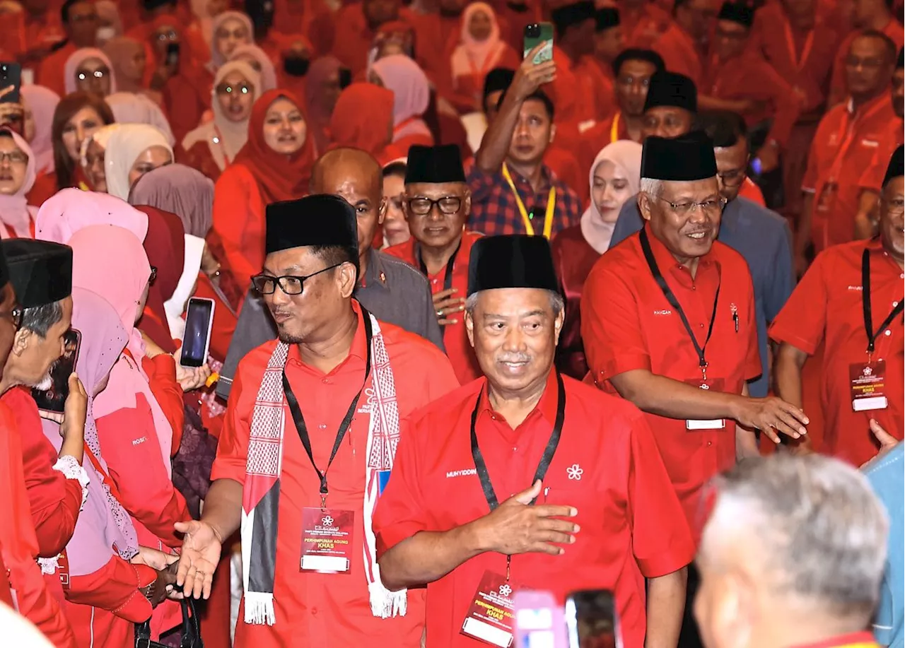 Bersatu tightens party constitution