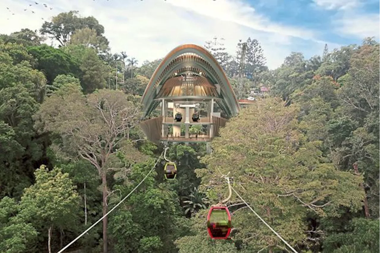 Forest safe in cable car project