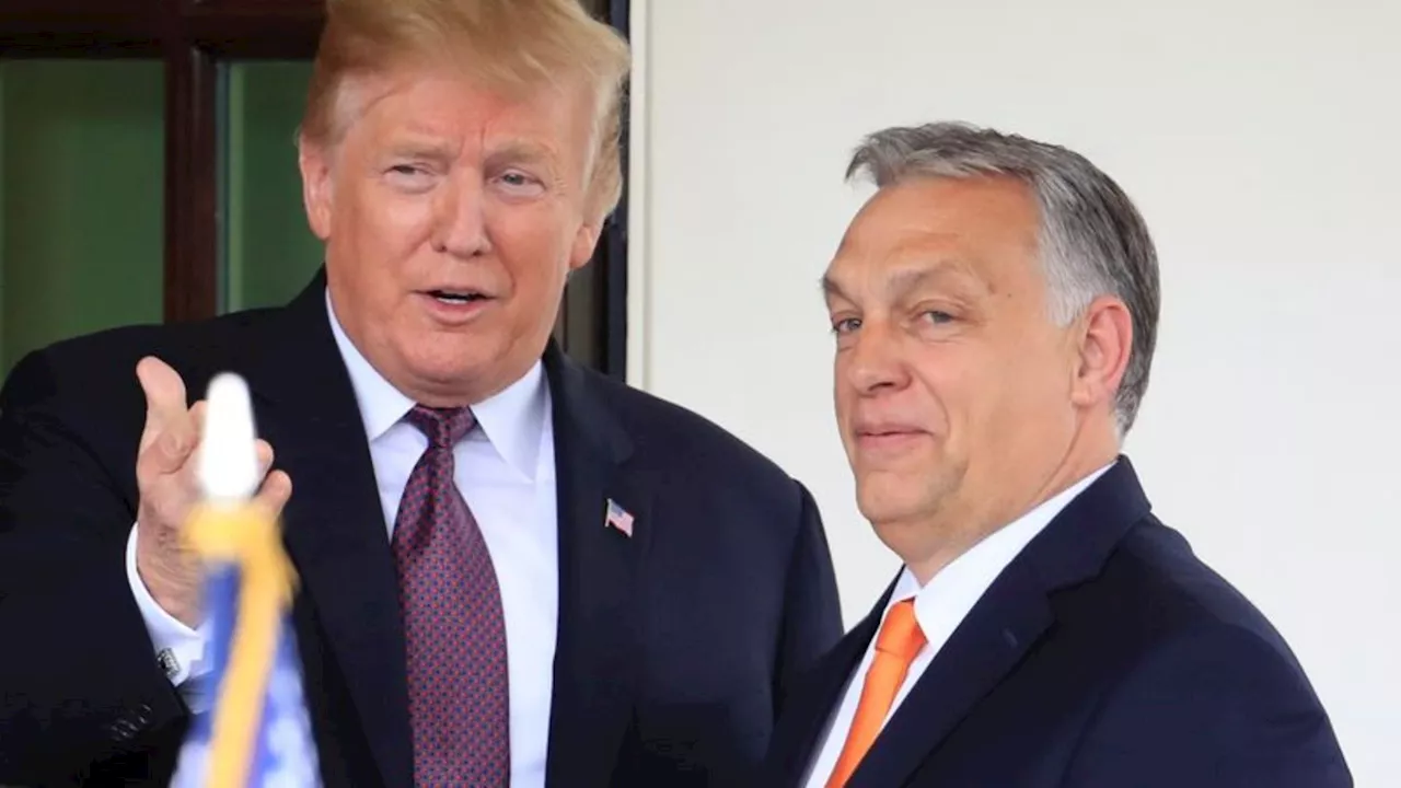 Politik: Orban lobt Trump als 'Präsident des Friedens'