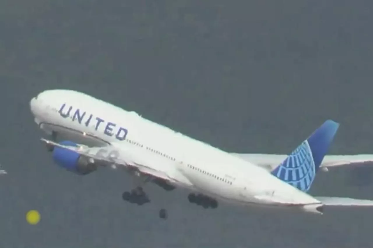 Tyre falls from United Airlines plane, crushes cars in San Francisco