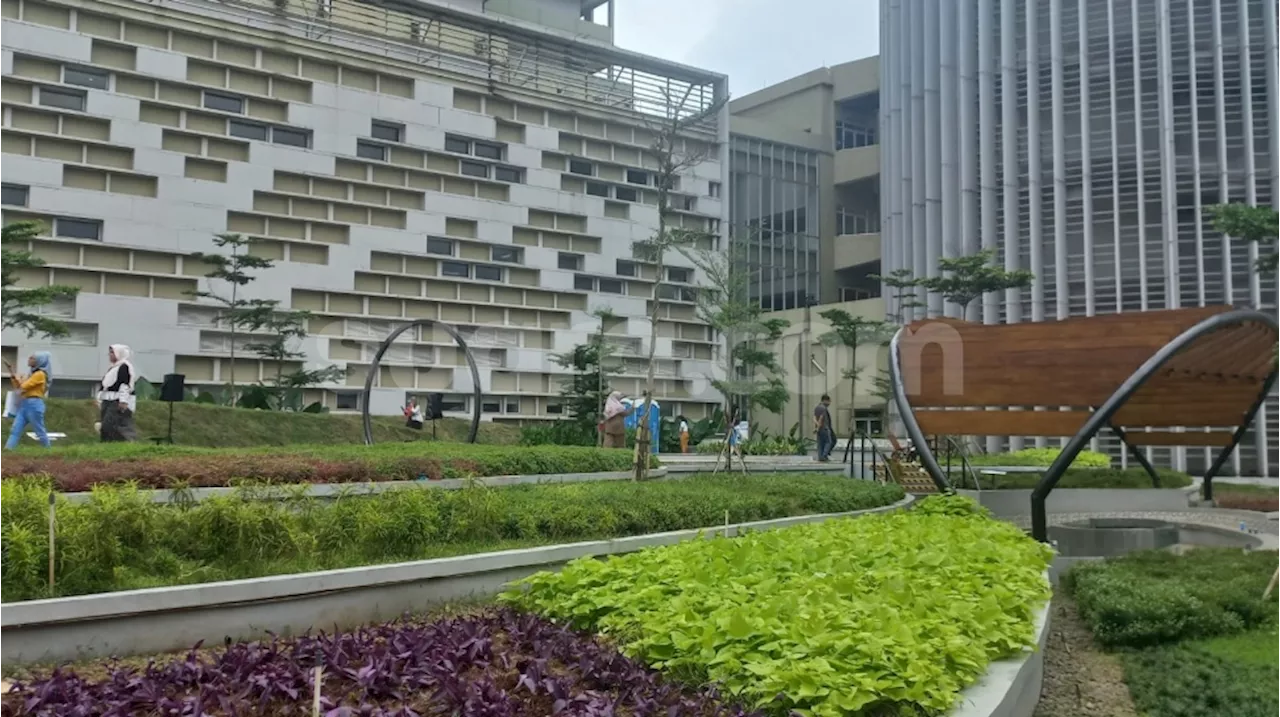 RSUI Wings Garden, Ruang Terbuka Hijau untuk Kesehatan Mental dan Fisik Pasien dan Tenaga Kesehatan