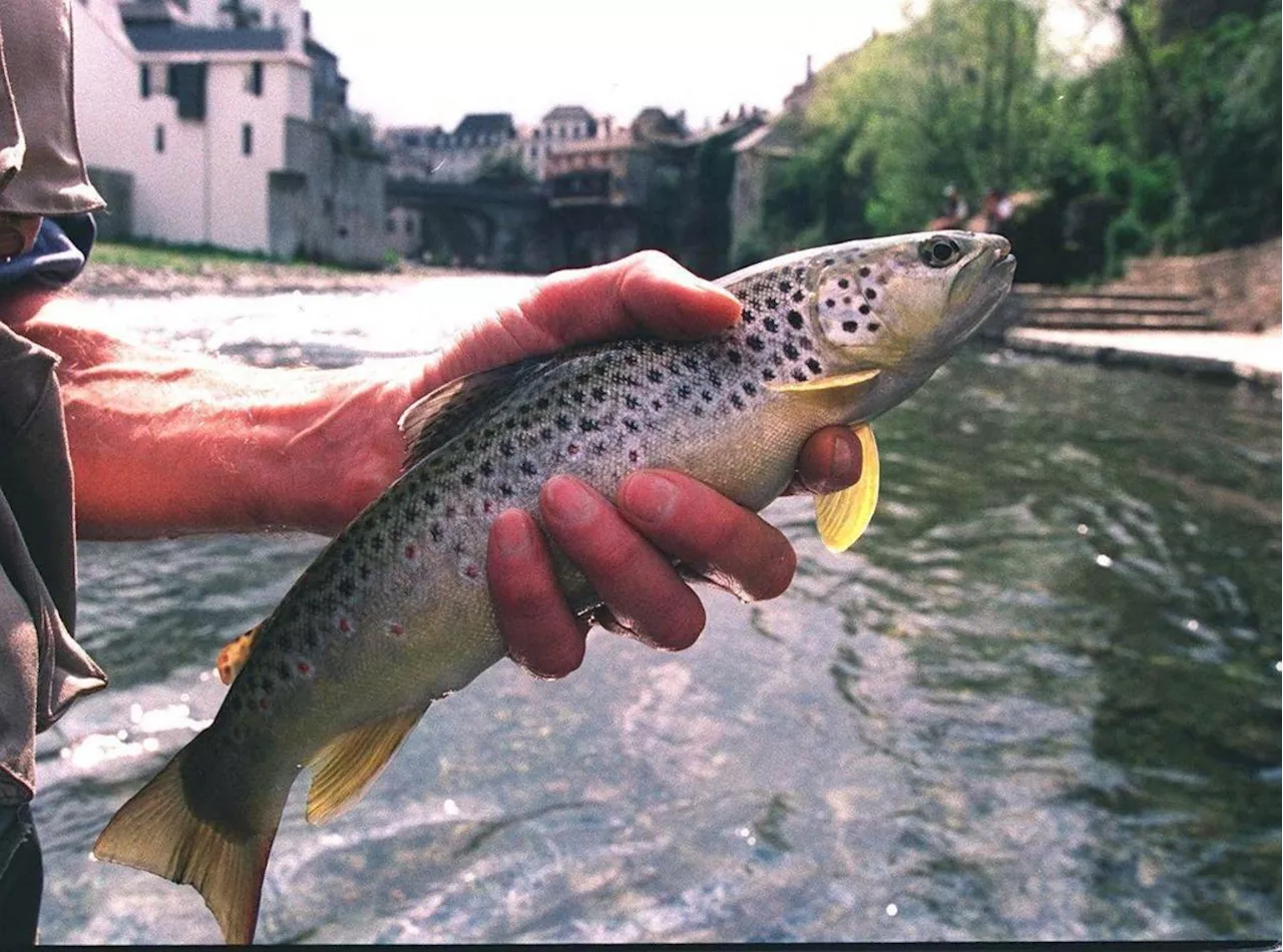 L’ouverture de la pêche à la truite : nos plus belles images d’archives