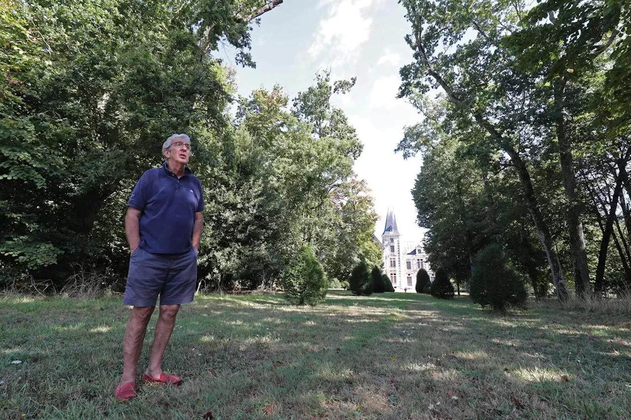 La Rochelle : les arbres de La Faucherie en partie sauvés