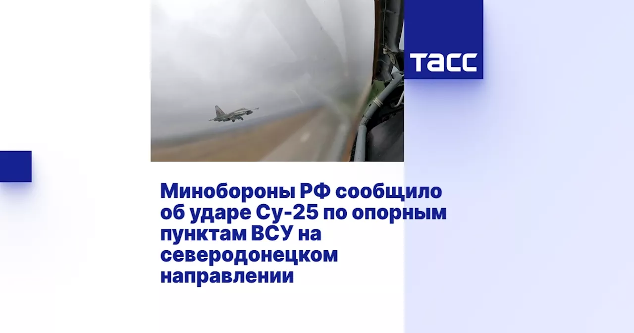 Минобороны РФ сообщило об ударе Су-25 по опорным пунктам ВСУ на северодонецком направлении