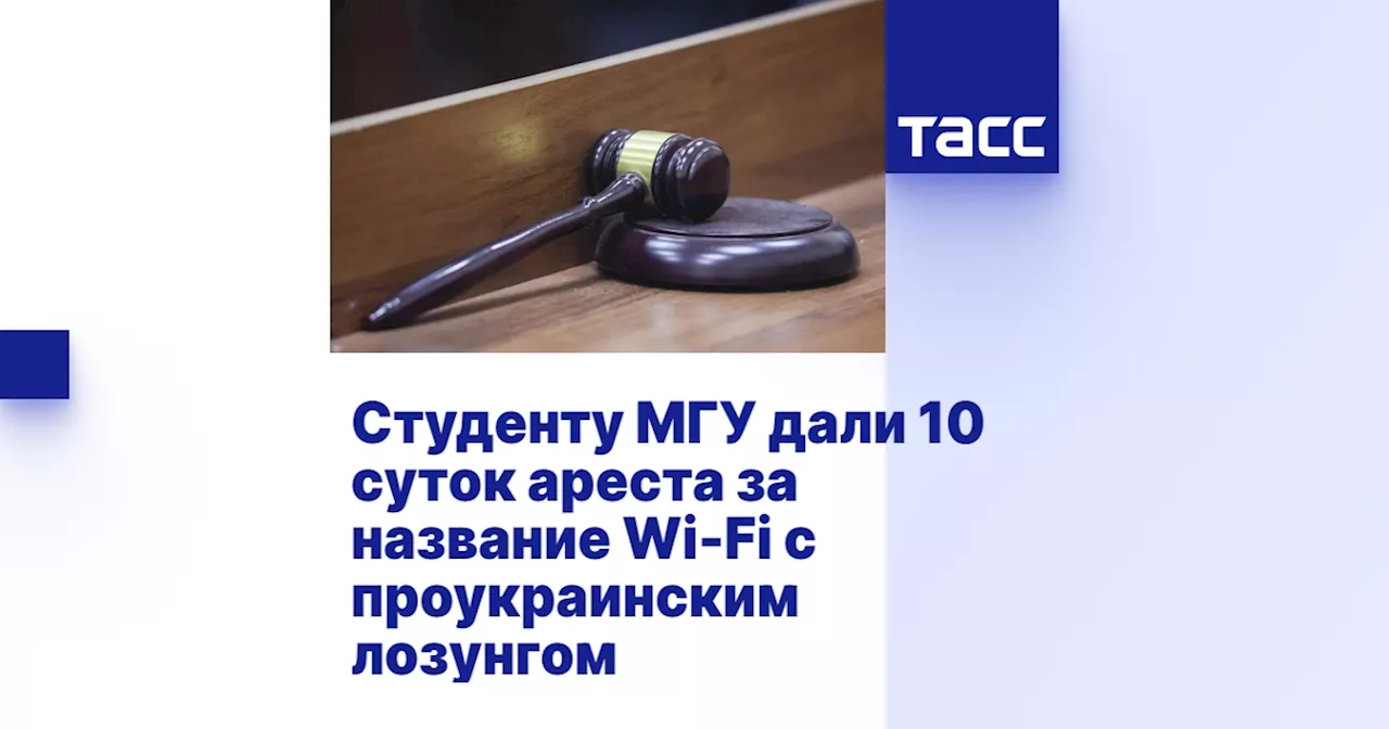 Студенту МГУ дали 10 суток ареста за название Wi-Fi с проукраинским лозунгом