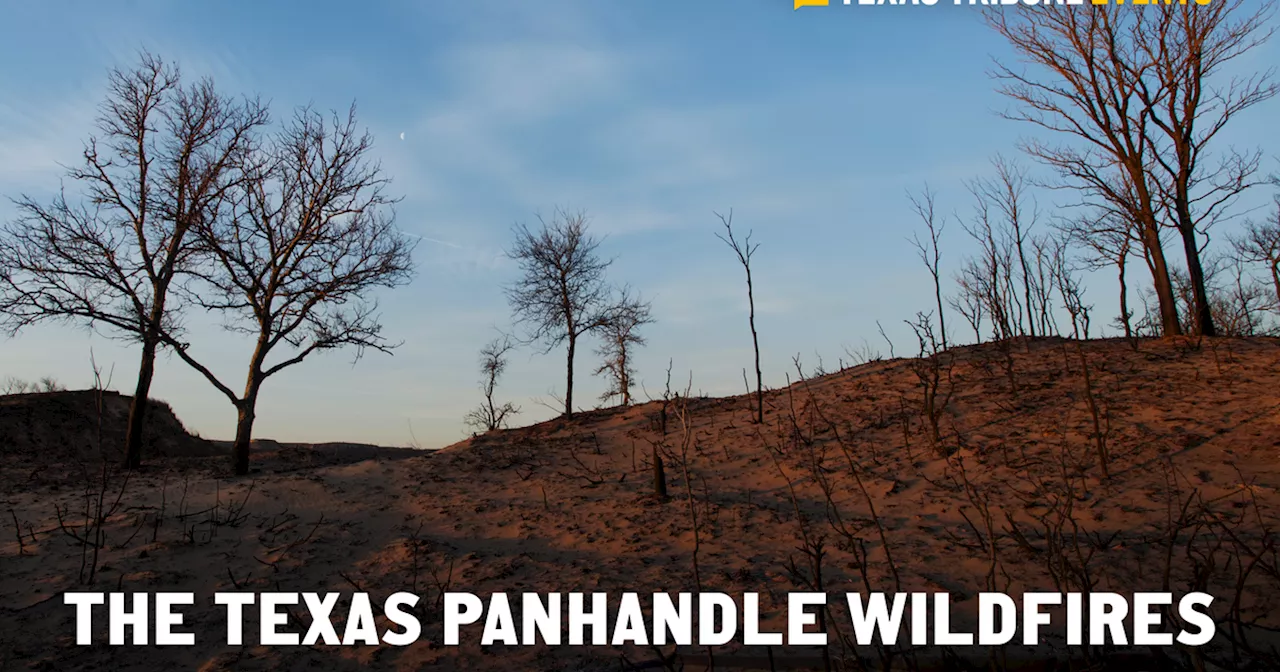 What the Texas wildfires mean to the Panhandle region