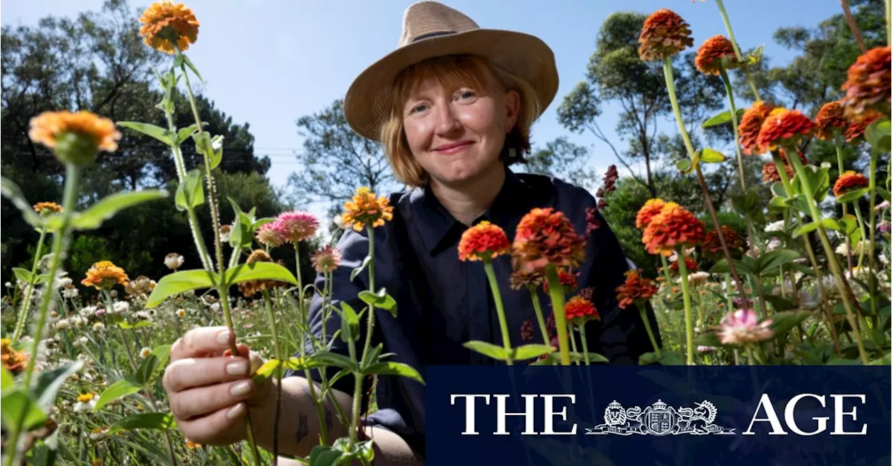 Not just a pretty place: What garden exhibitions really teach us