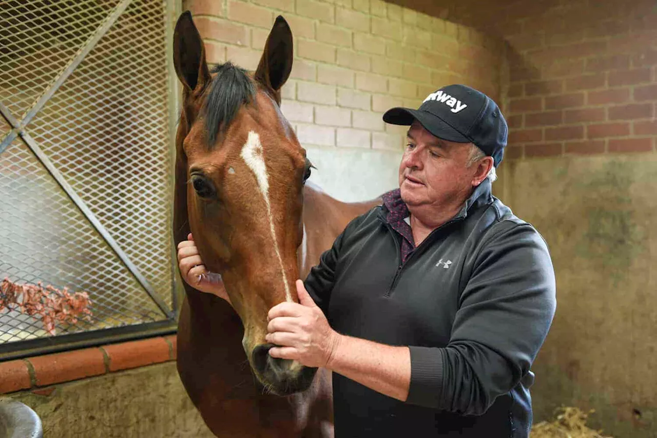 SA Oaks is shorn of its leading ‘Lady’