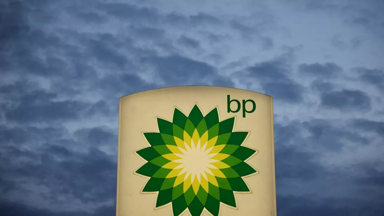 BP chief’s £8m pay deal fuels calls for fat-cat bonus tax