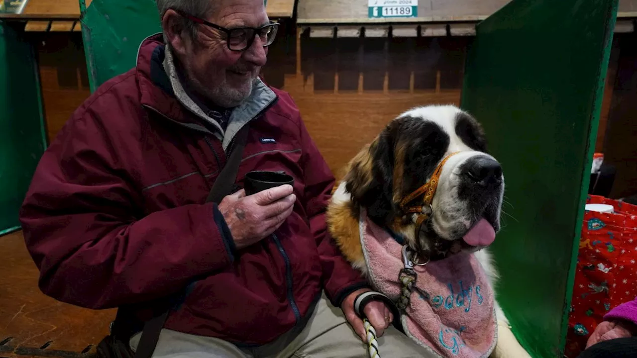 Crufts 2024 in 11 pictures as world-famous dog show gets under way