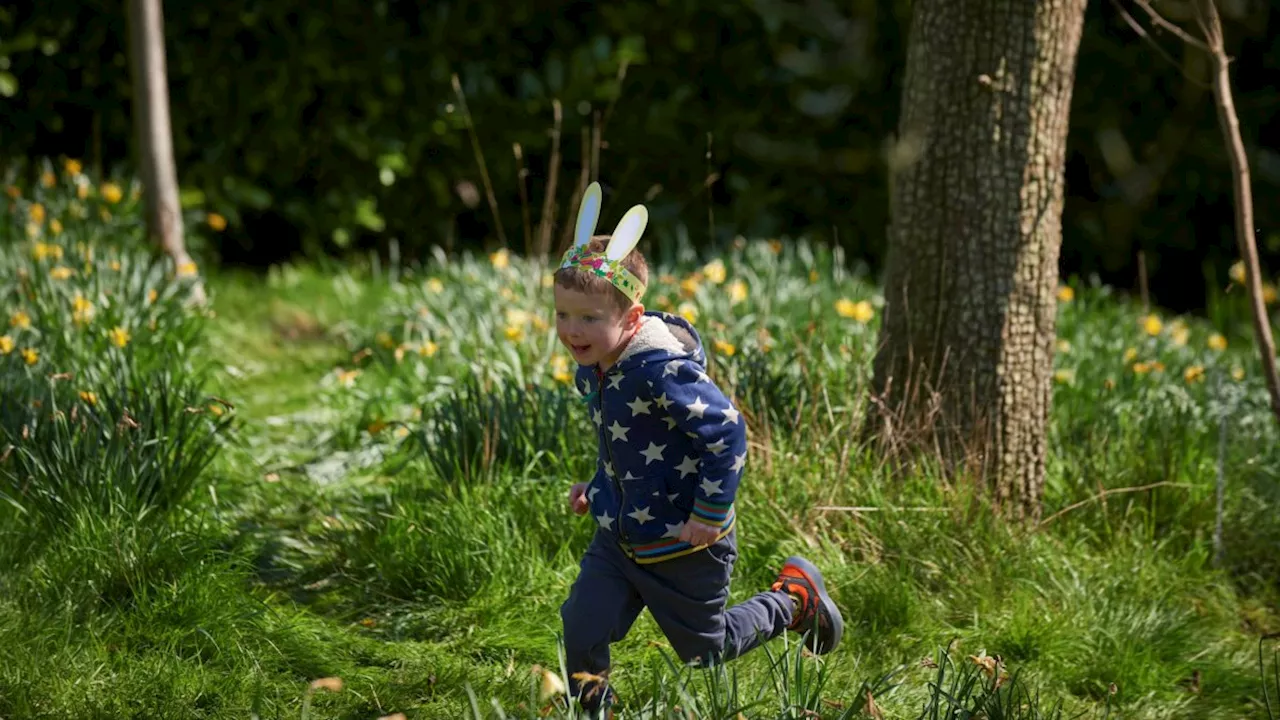 The best National Trust Easter trails