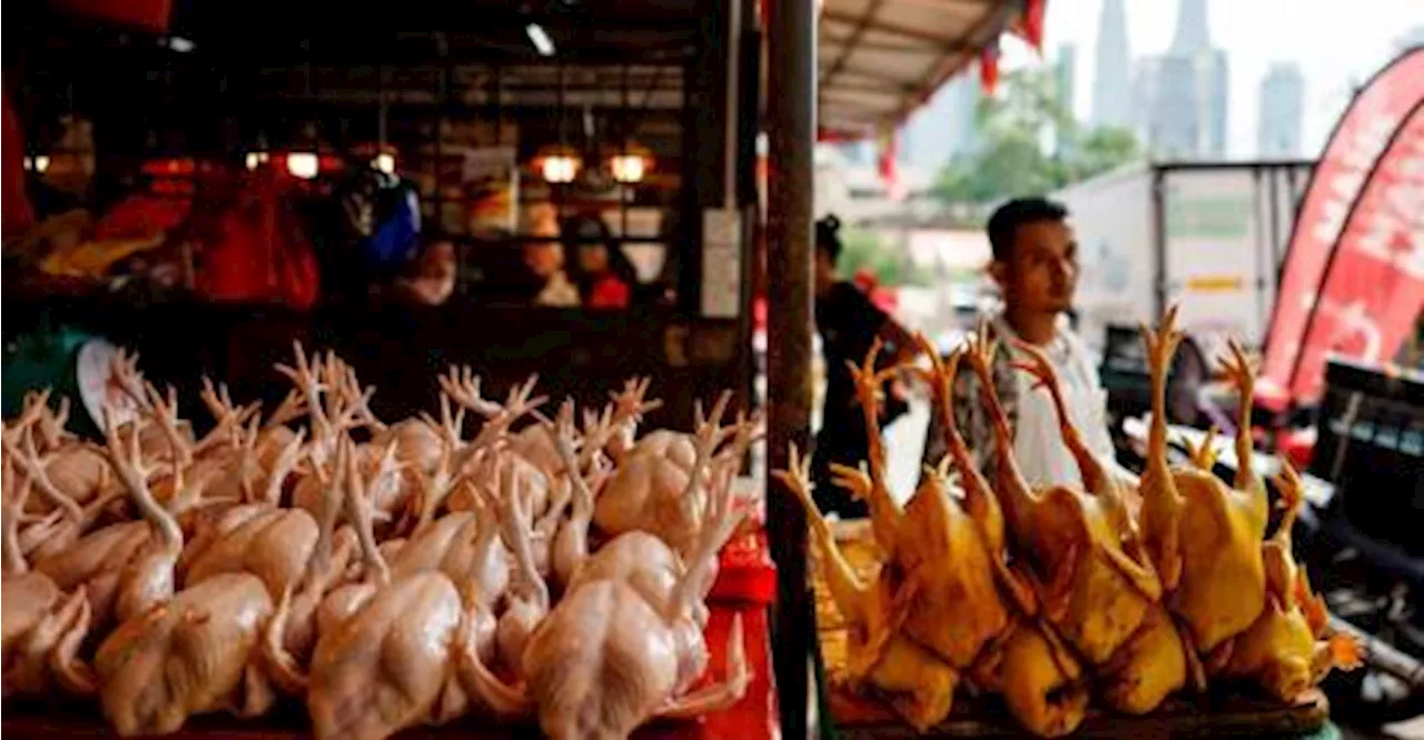 Sufficient chicken, meat supply for Ramadan, Aidilfitri