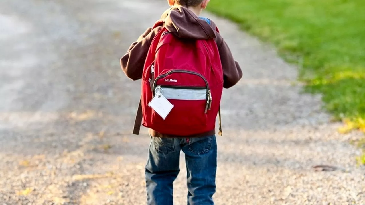 Bambino di sei anni sospeso perché "iperattivo", a scuola arrivano gli ispettori