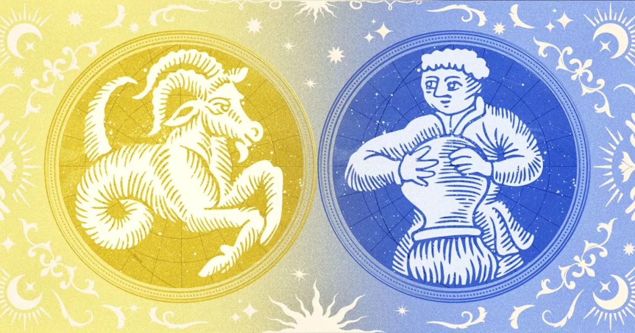 Capricorn And Aquarius Compatibility: How The Zodiac Signs Connect In Love