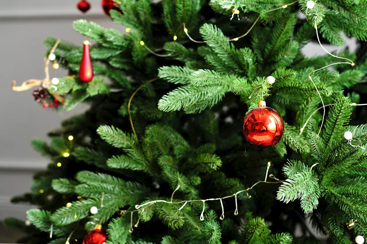 Cette allergie peu connue qui frappe souvent à Noël