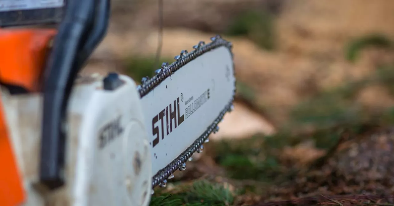 Tödlicher Arbeitsunfall in Ebbs: 82-Jähriger im Kaiserwald von Baum getroffen