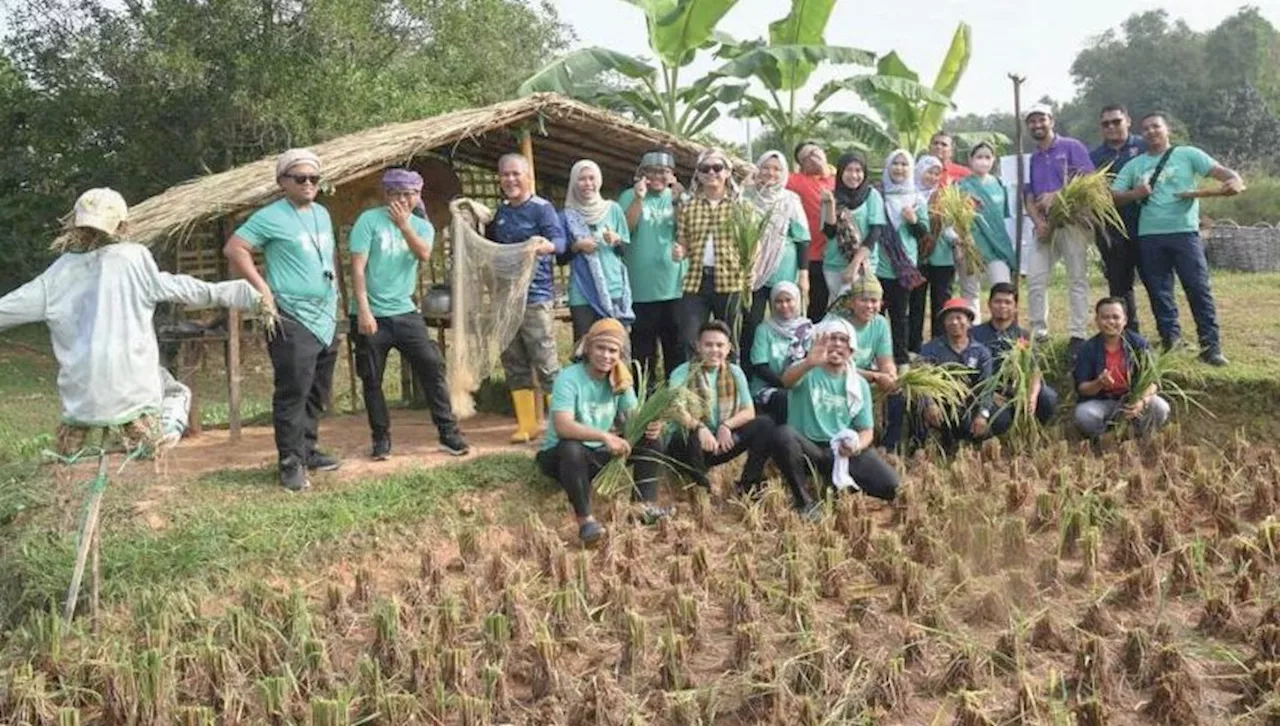 Sawah di tengah bandar Cyberjaya