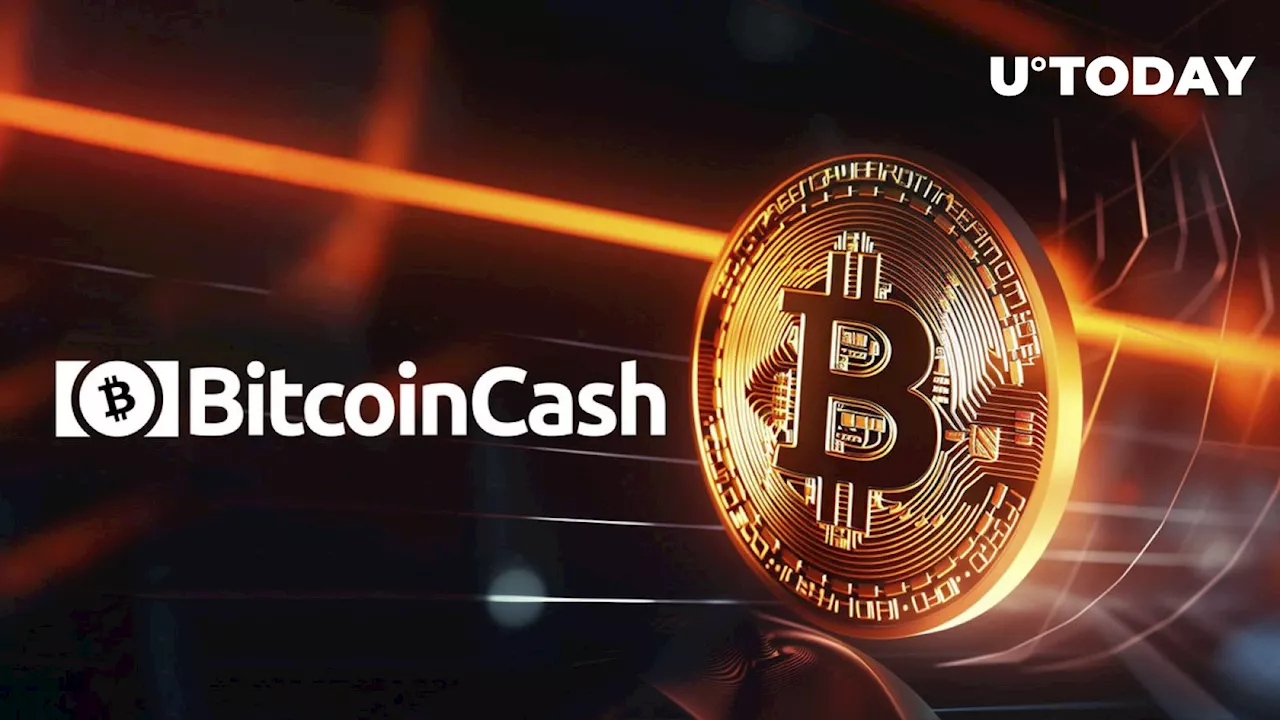 Bitcoin (BTC), Bitcoin Cash (BCH) Set for Epic Countdowns to Halving Event