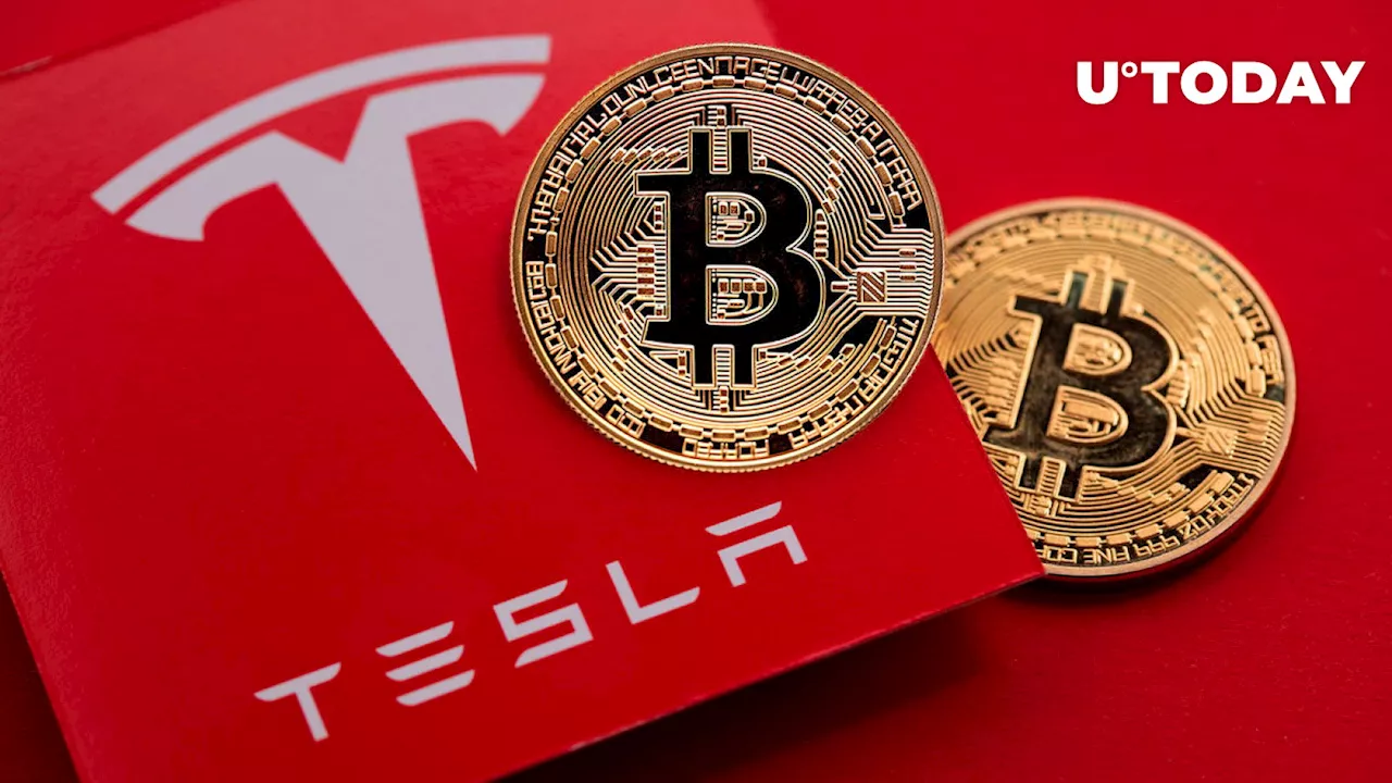 Elon Musk's Tesla and SpaceX Bitcoin Holdings Uncovered: Data