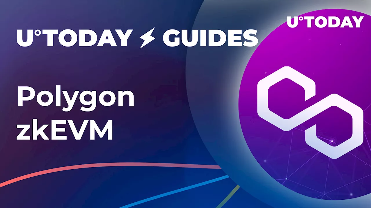 Polygon Network's (MATIC) zkEVM: Everything You Should Know in New Blockchain Guide