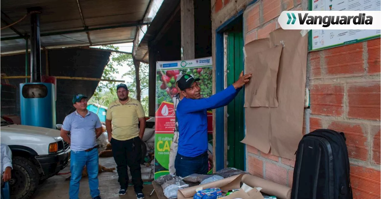 Caficultores de Páramo, Santander le apuestan al abono orgánico