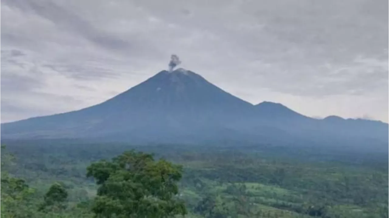 Gunung Semeru Erupsi Tiga Kali, Masyarakat Diingatkan Bahaya Lontaran Batu Pijar