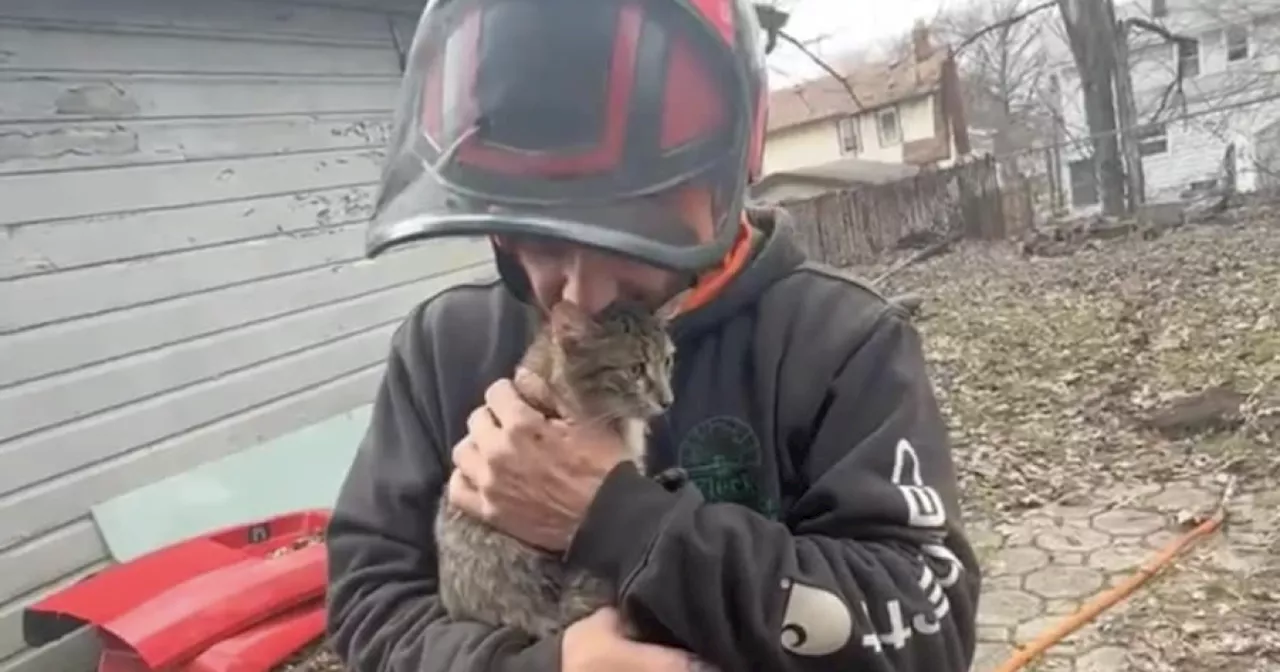 Independence man dedicates time to rescuing cats from trees across Northeast Ohio