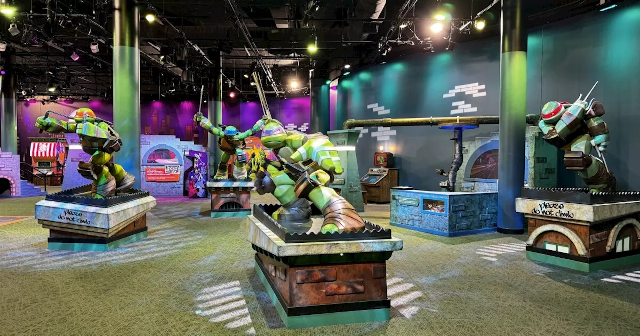 Teenage Mutant Ninja Turtles exhibit opens at Children's Museum of Indianapolis