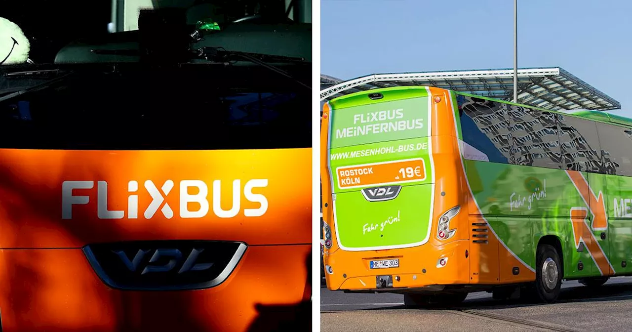 Fyra dog i bussolycka – busschefen: Hade överlevt om de haft bälte