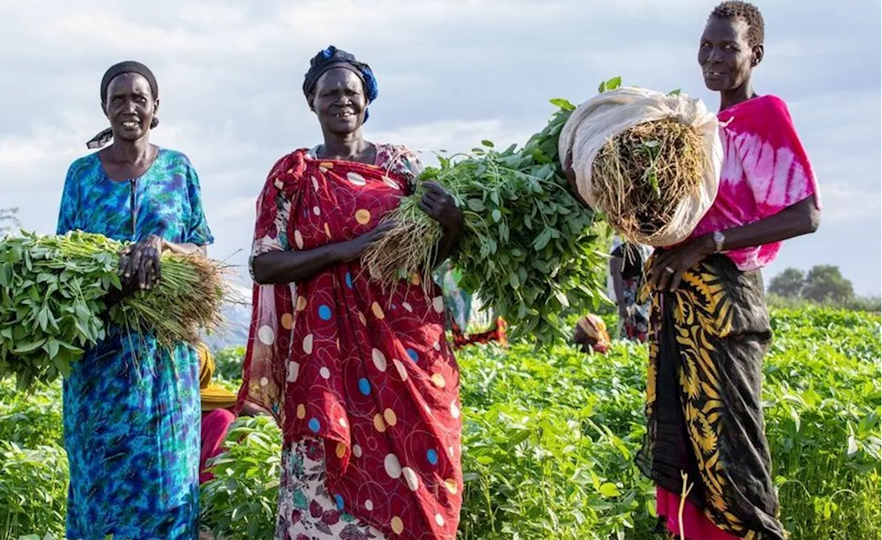 South Sudan: New $1.4 Billion Plan to Support South Sudanese Refugees