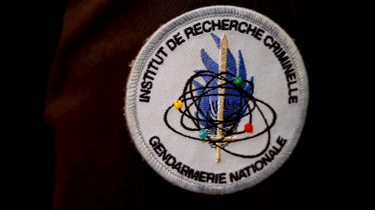 Mort d'Émile: comment travaillent les experts de l'IRCGN chargés d'analyser les ossements