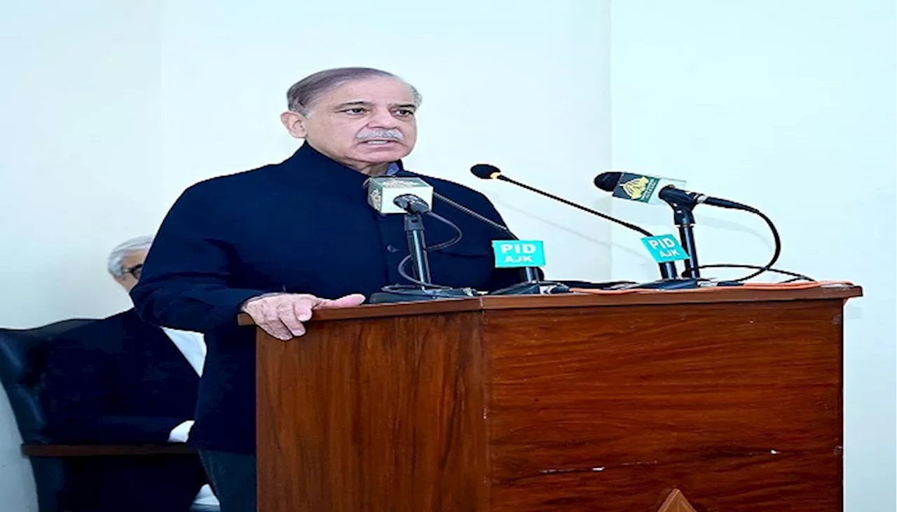 PM assures foolproof security arrangements for Chinese nationals