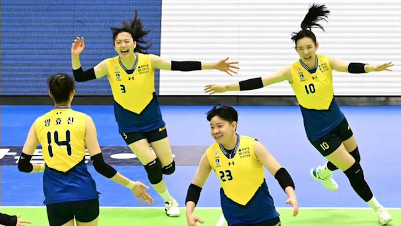 Hillstate Juara Liga Voli Korea Usai Hajar Pink Spiders 3-0