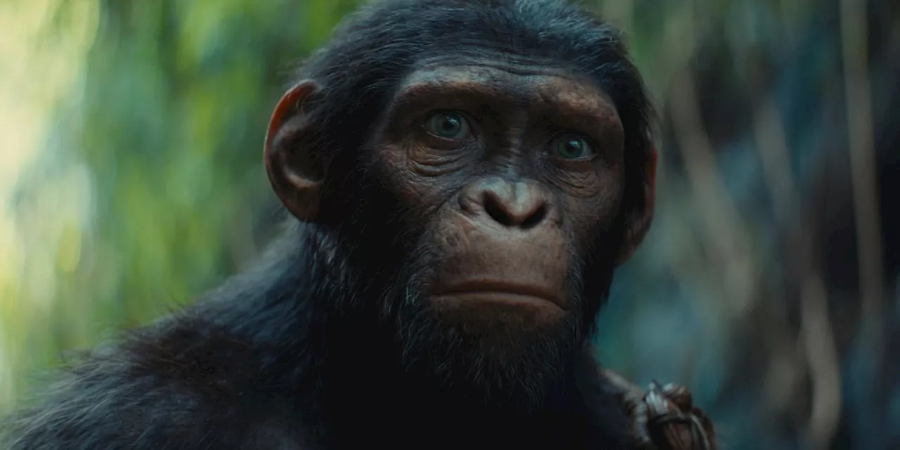 ‘Kingdom of the Planet of the Apes’ Sneak Peek Sends Noa on an Adventure