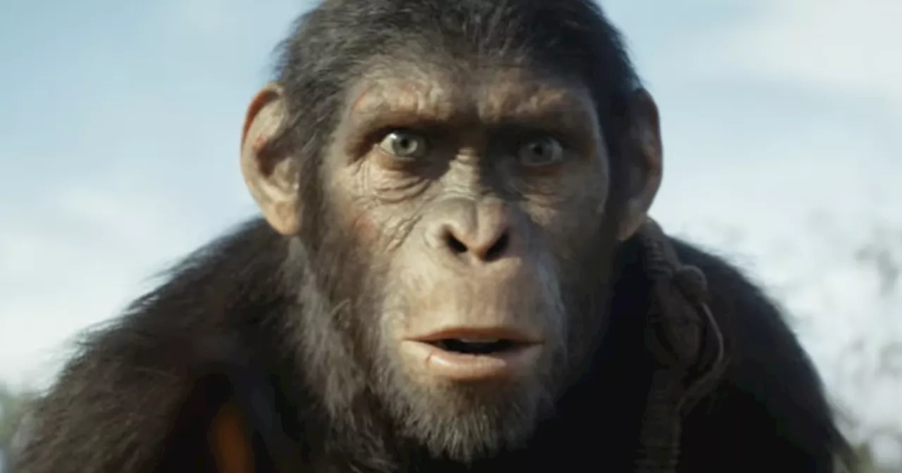 Kingdom of the Planet of the Apes Special Look Trailer Previews Movie’s IMAX Release