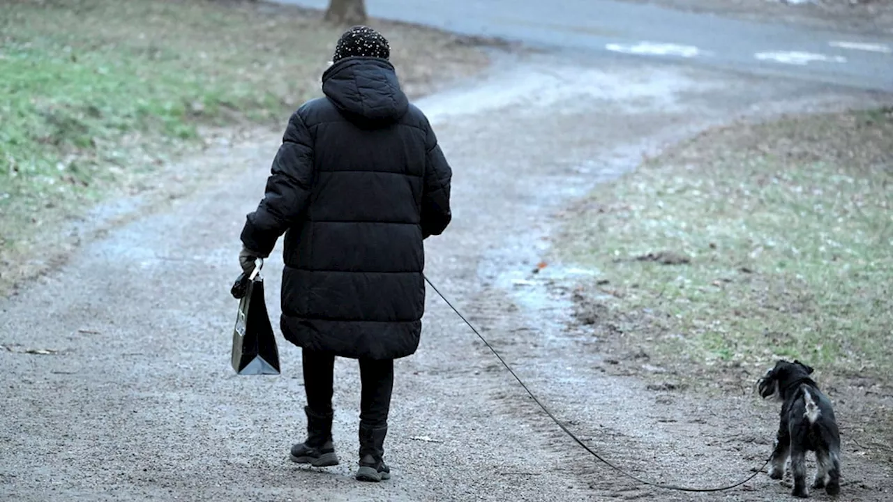 Så skämtades det under årets första april