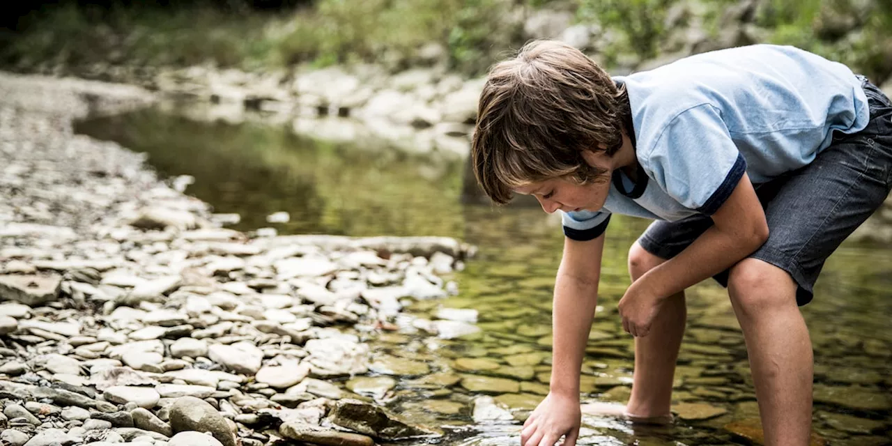 Junge (7) findet Stein im Vorgarten, der Tausende Dollar wert ist