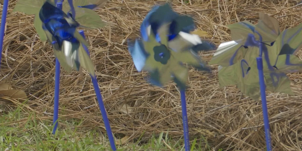 Child Advocacy Center raising awareness for child abuse awareness month with blue pinwheels