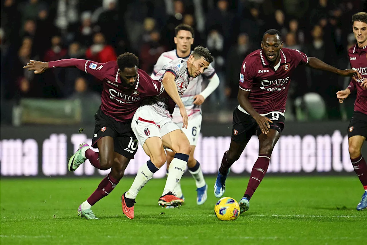 Pronostico Bologna-Salernitana quote della sfida 30ª giornata serie A