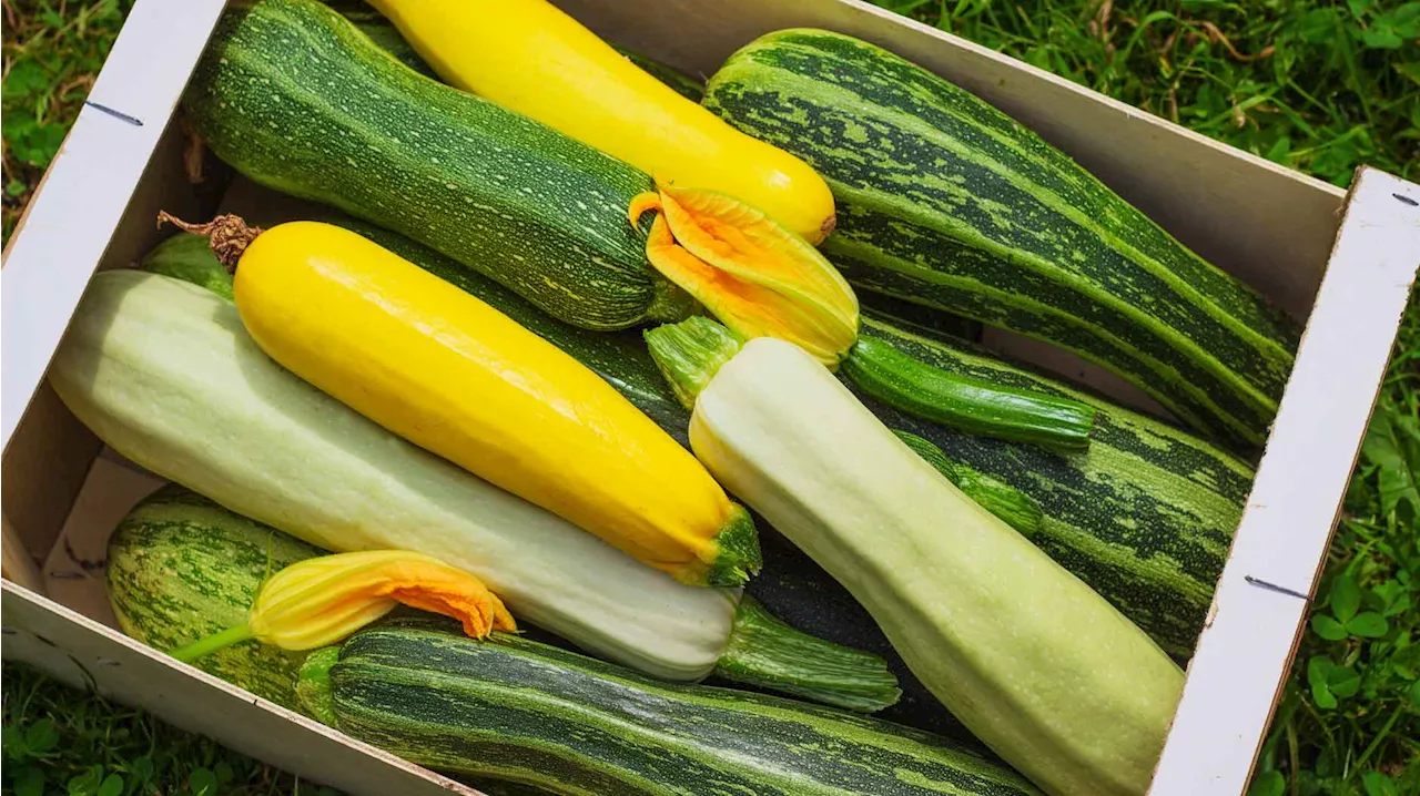 Zucchini roh essen: Ist das gesund?