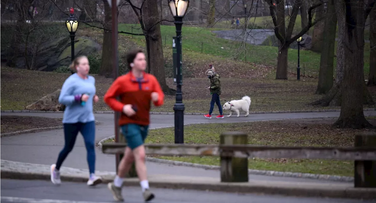 Woman attacked by man with hammer in Central Park overnight, NYPD says