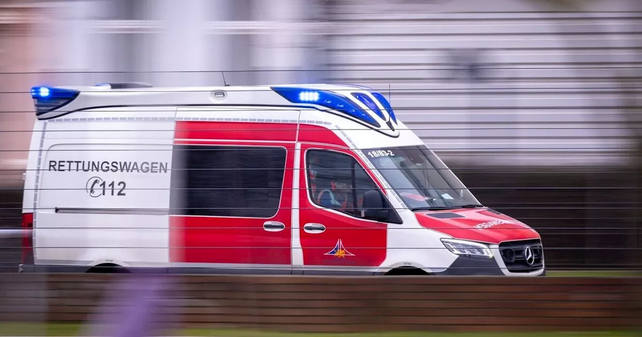 Seil in Waldseilgarten durchgeschnitten: Trainerin verletzt