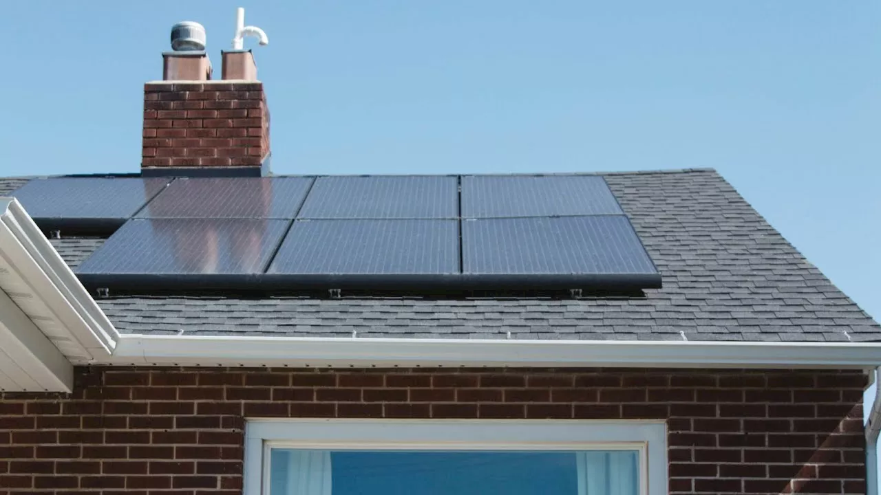 Green energy: 50% of homeowners are considering installing solar panels